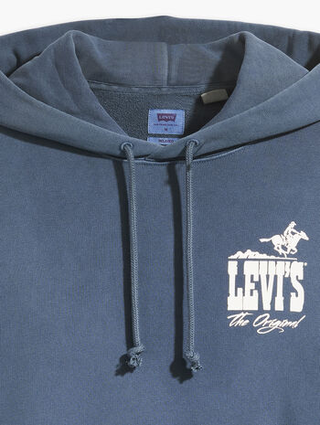 Levi's® Men's Authentic Graphic Hoodie