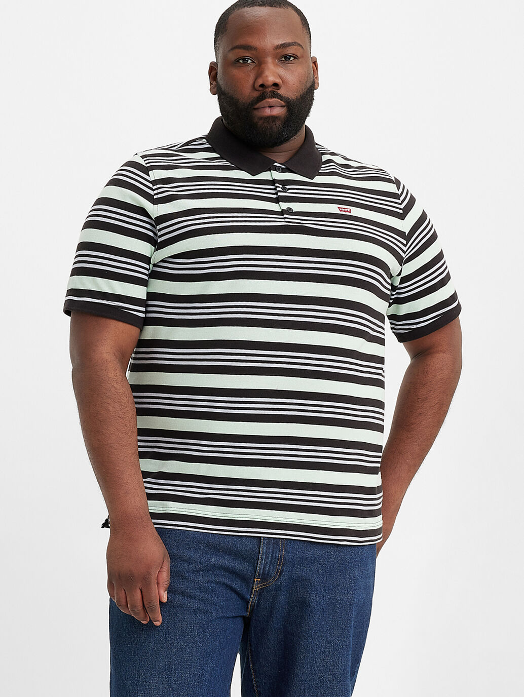 Housemark Polo Shirt (Big & Tall)