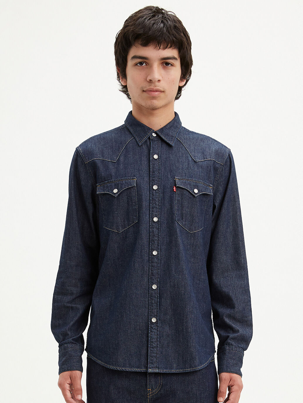 Levi's® Men's Barstow Standard Fit Western Shirt