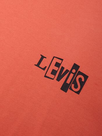 Levi's® Skate Graphic Boxy Tee