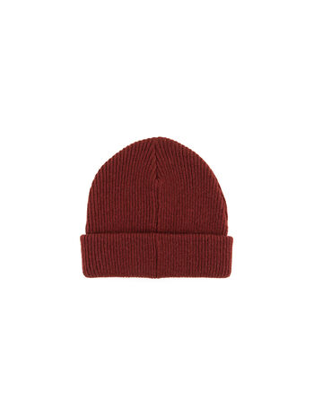 Beanie with Reflective Poster Logo