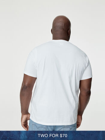 Levi's® Men's Original Housemark T-Shirt (Big)