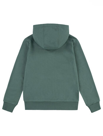 Levi's® Batwing Pullover Hoodie