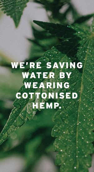 Image Description: The image background shows a close-up image of a hemp leaf with lots of small droplets of water on it. There is white text that reads: 'We're saving water by wearing cottonised hemp.'